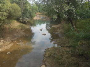 Maintaining Perennial Waterbodies for Elephants
