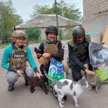 Even helping dogs and cats