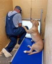 Volunteer Trying to Fix Guillotine Door