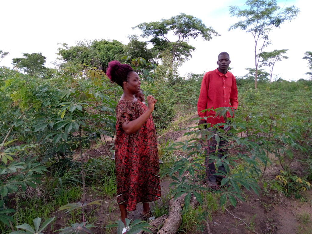 Help 200 youth in sustainable agriculture Tanzania