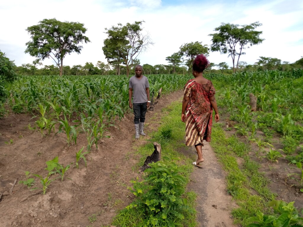 Help 200 youth in sustainable agriculture Tanzania