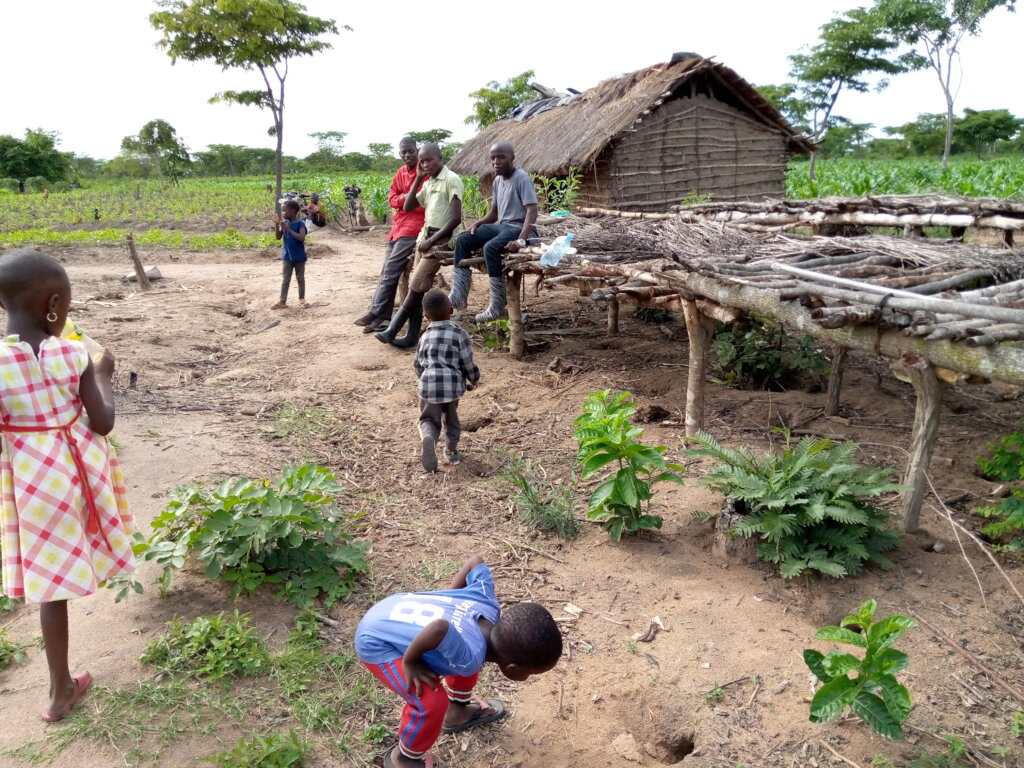 Help 200 youth in sustainable agriculture Tanzania