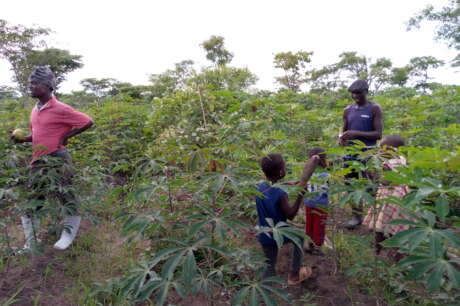Help 200 youth in sustainable agriculture Tanzania