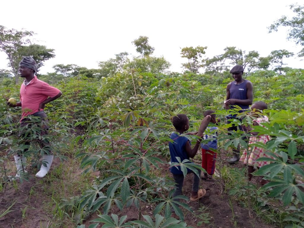 Help 200 youth in sustainable agriculture Tanzania