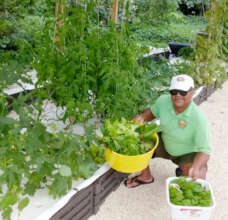 Aquaponic Community Garden