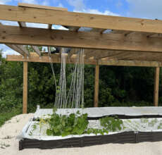 Aquaponic Community Garden