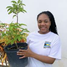 Fruit Trees for Backyard Farmers