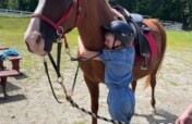 Therapeutic Riding for 90 NH Youth