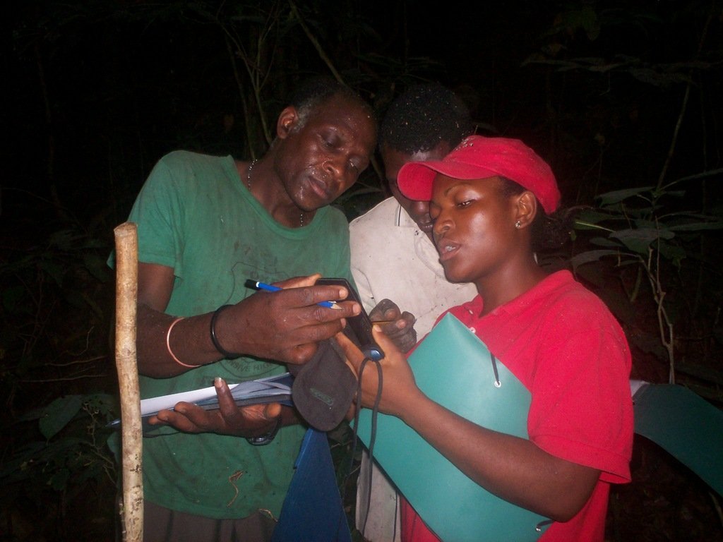 Reforest Habitats for 60 Gorillas in Cameroon