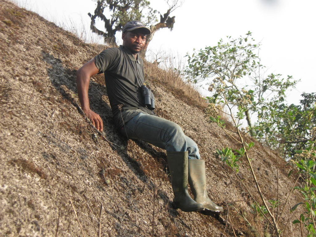 Reforest Habitats for 60 Gorillas in Cameroon