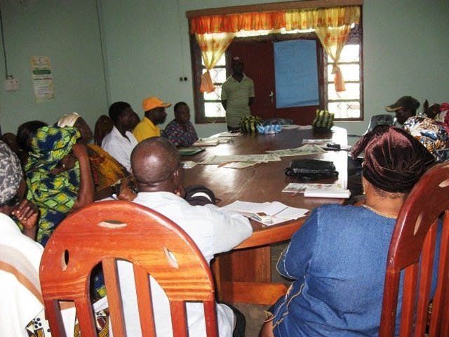 Reforest Habitats for 60 Gorillas in Cameroon