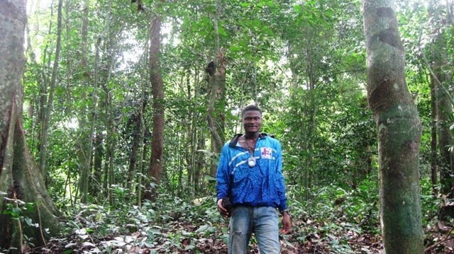 Reforest Habitats for 60 Gorillas in Cameroon