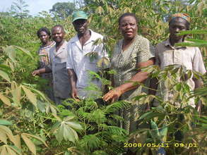 Agroforestry farming method