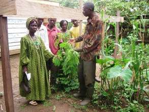 Agro-forestry training