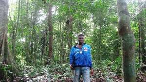 A ranger in the forest