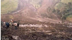 Landslide Destruction of Gorilla Habitat