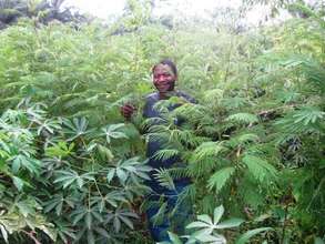 Reforest Habitats for 60 Gorillas in Cameroon