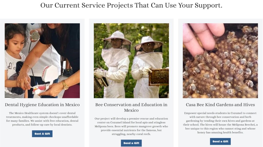 GlobalGiving Projects shown on Website