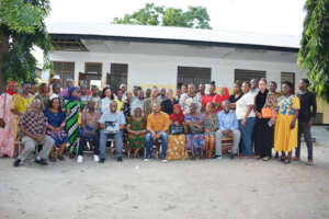 School mental health literacy implementation team