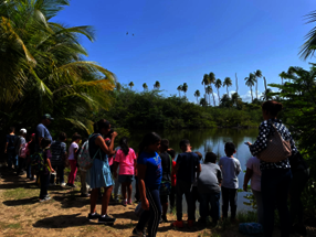 Nature heals hurting children