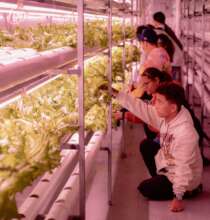 Agricultural experience