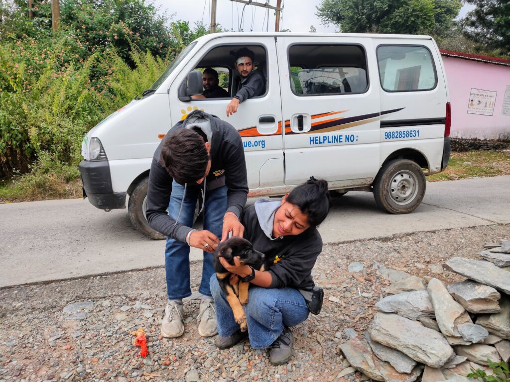 Help 200 Dogs Have a Second Chance at Life