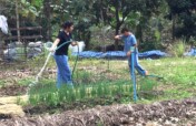 Rainwater Conservation and Harvesting
