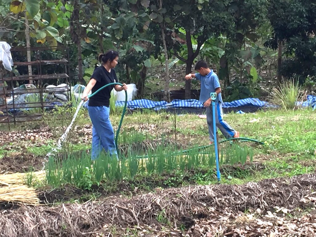 Rainwater Conservation and Harvesting