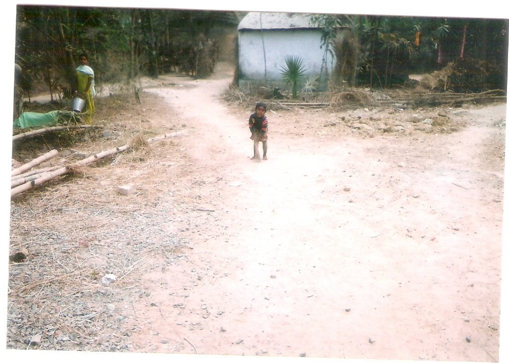 Ensure Livelihood of 100 villagers in India