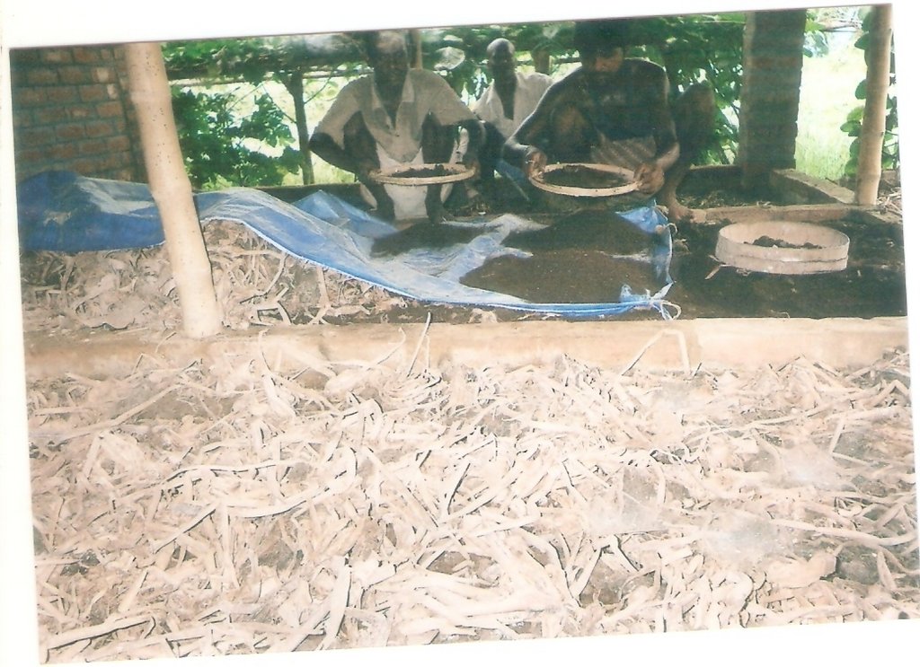 Ensure Livelihood of 100 villagers in India