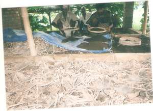 Ensure Livelihood of 100 villagers in India