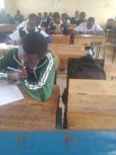 Maorine in class