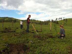 French volunteers planting seedlings.