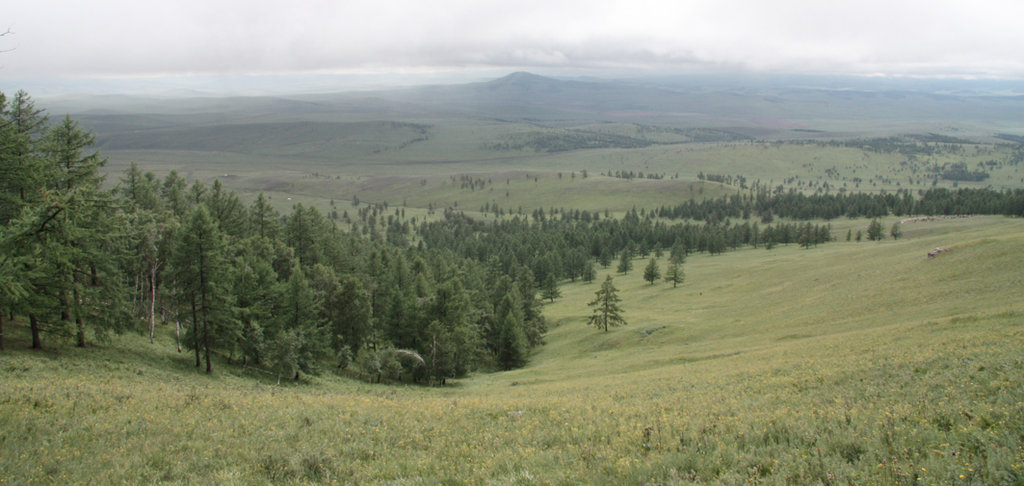 Birch Grove Nature Preserve