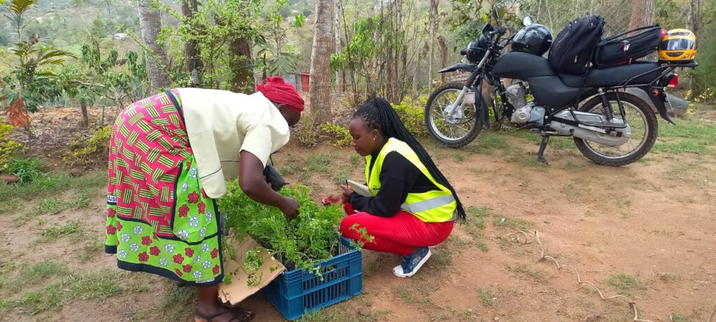 The Seed of Life Provides Hope & Feed Hunger