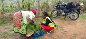 Women Empowerment with School Gardens