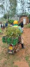 Creating jobs and trade with school gardens