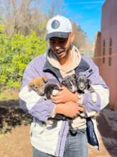 4 more puppies