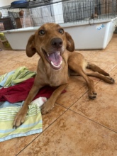 Mouna, a rescue after an RTA is now adopted!