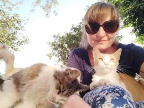 Maud, a volunteer visiting and meeting some cats