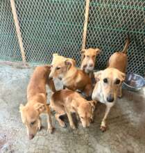 a family rescued from the streets