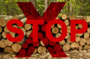 Control Deforestation