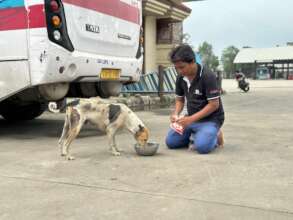 A delightful Goodbye with treats