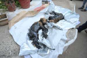 Cleaning and treatment  started