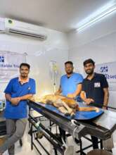 Happy faces after the successful surgery