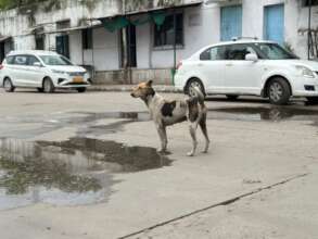 Happy to be back in the area