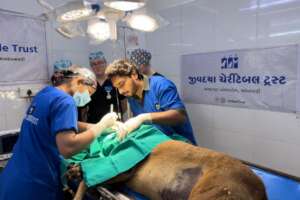 doctors performed an eye surgery