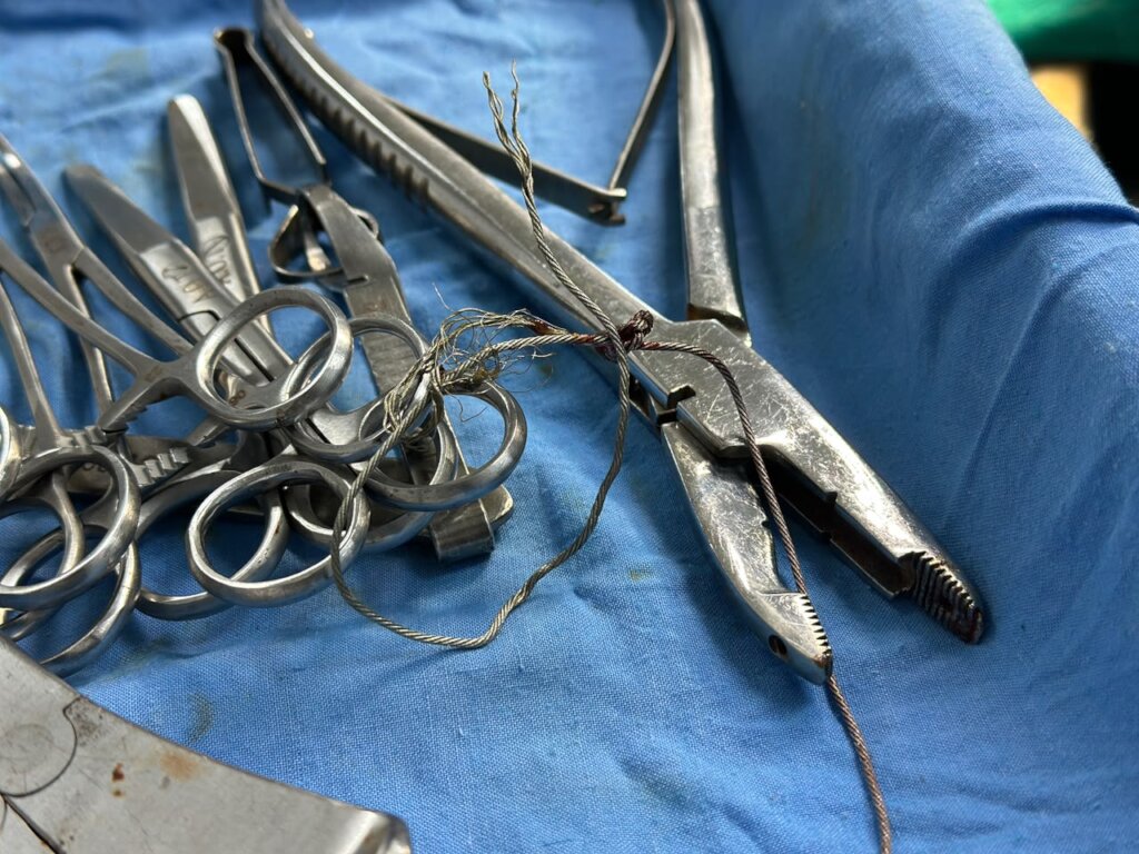 This metal wire removed from the dog's body