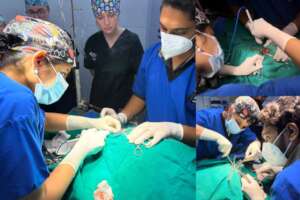 Jack recovered completely after the surgery