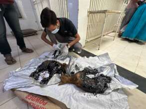 Our team is cleaning the tar 1